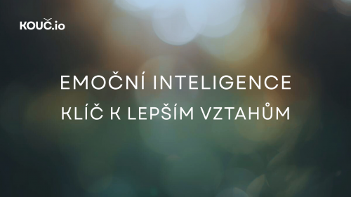 Emočn&iacute; inteligence